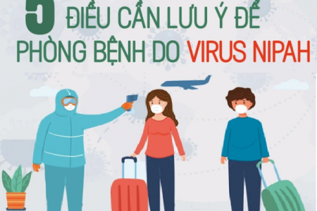 [Infographic] - 5 điều cần lưu ý để phòng bệnh do virus Nipah